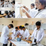 lab